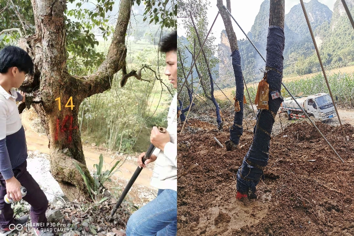 首页-NG视讯厅真人官方网站