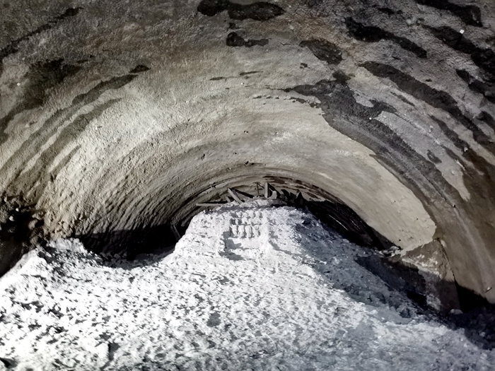 首页-NG视讯厅真人官方网站