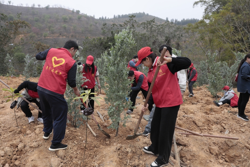 首页-NG视讯厅真人官方网站