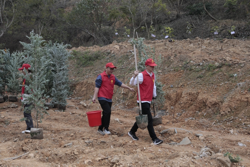 首页-NG视讯厅真人官方网站