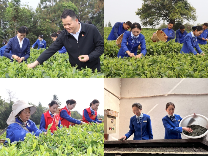 首页-NG视讯厅真人官方网站