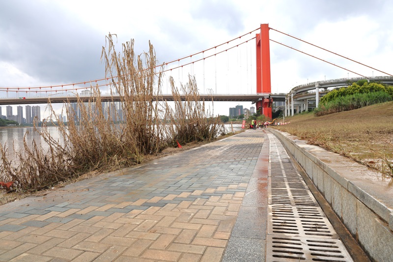 首页-NG视讯厅真人官方网站